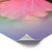 Rosa Hibiskus Blume Poster (Ecke)