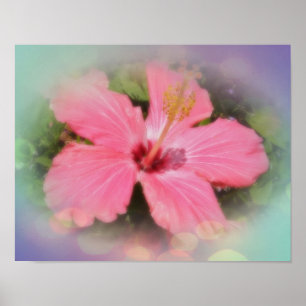 Rosa Hibiskus Blume Poster