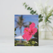 Rosa Hibiskus Blume Postkarte (Stehend Vorderseite)