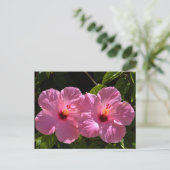Rosa Hibiskus Blume Postkarte (Stehend Vorderseite)