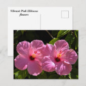 Rosa Hibiskus Blume Postkarte (Vorne/Hinten)