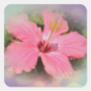 Rosa Hibiskus-Blume Quadratischer Aufkleber