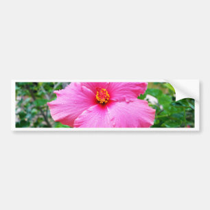 Rosa Hibiskus Blume Rain Sprinkles, Autoaufkleber