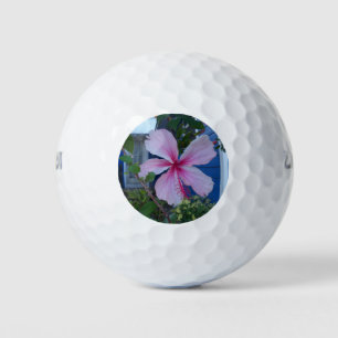 Rosa Hibiskus Blume und eine Hütte mit blauem Stra Golfball