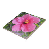 Rosa Hibiskus Fliese (Seite)