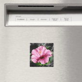 Rosa Hibiskus Foto Magnet (In Situ (Geschirrspüler))