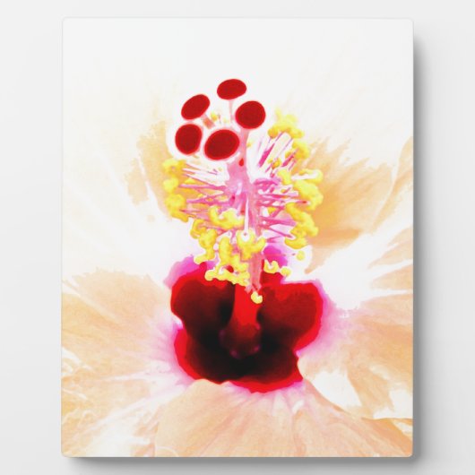 Rosa Hibiskus Fotoplatte (Vorderseite)