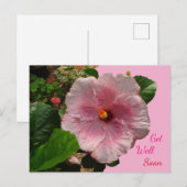 Rosa Hibiskus Gute Besserung Postkarte (Vorne/Hinten)