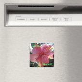 Rosa Hibiskus in Hawaii Magnet (In Situ (Geschirrspüler))