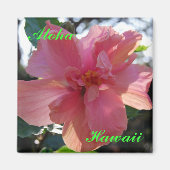 Rosa Hibiskus in Hawaii Magnet (Vorne)