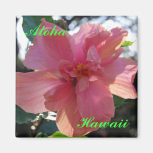 Rosa Hibiskus in Hawaii Magnet