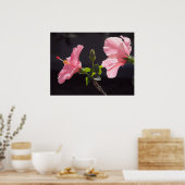 Rosa Hibiskus in Schwarz Poster (Küche)