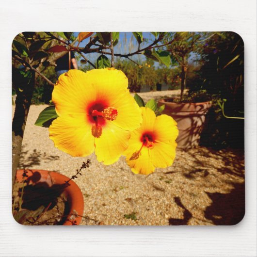 Rosa Hibiskus Mouse Mat Mousepad (Vorne)