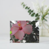 Rosa Hibiskus Postkarte (Stehend Vorderseite)