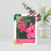 Rosa Hibiskus Postkarte (Stehend Vorderseite)
