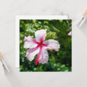 Rosa Hibiskus Tropische Blume Geburtstag Gruß Karte (Vorderseite/Rückseite Beispiel)