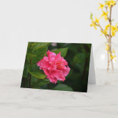 Rosa Hibiskus Tropische Blume Karte (Gelbe Blume)