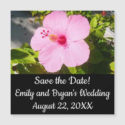 Rosa Hibiskus Tropische Blume Magnetkarte (Vorderseite)