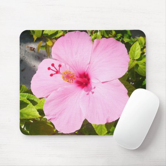 Rosa Hibiskus Tropische Blume Mousepad (Mit Mouse)