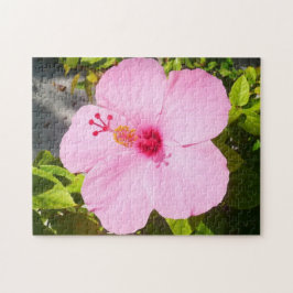 Rosa Hibiskus Tropische Blume Puzzle