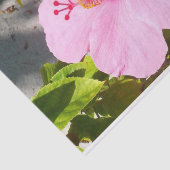 Rosa Hibiskus Tropische Blume Seidenpapier (Ausschnitt)