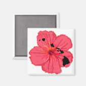 Rosa Hibiskus w Hai Islands Magnet (Vorderseite/Rückseite)