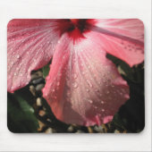 Rosa Hibiskus-Wasser-Tropfen Mousepad (Vorne)