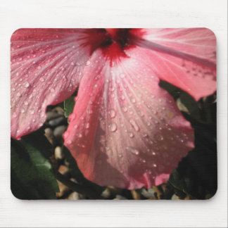 Rosa Hibiskus-Wasser-Tropfen Mousepad