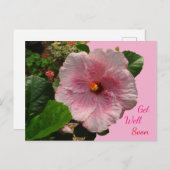 Rosa Hibiskus wird bald gut Postkarte (Vorne/Hinten)