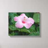 Rosa Hibiskusblüte Leinwanddruck (Vorderseite)