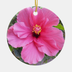 Rosa Hibiskusverzierung, fertigen besonders an Keramikornament