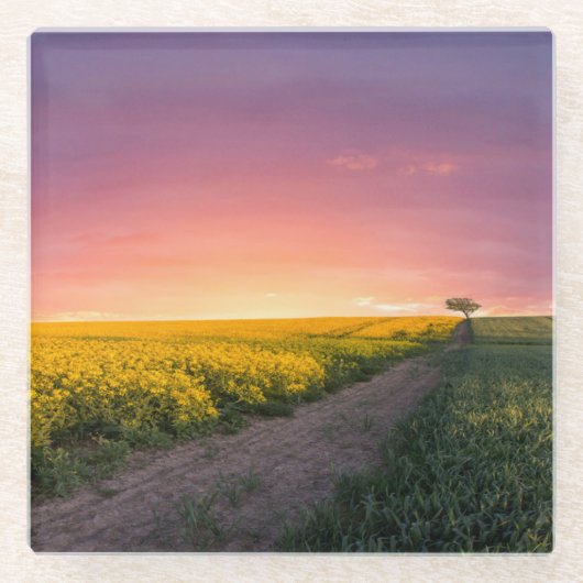 Rosa Himmel nachts Glasuntersetzer (Vorderseite)