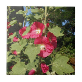 Rosa Hollyhock Fliese