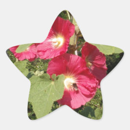 Rosa Hollyhock Stern-Aufkleber