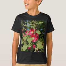 Rosa Hollyhock