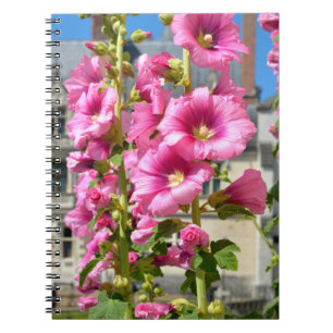 Rosa Hollyhocks Blume Postkarte Aufkleber T- Notizblock