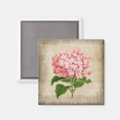 Rosa Hortensie Magnet (Vorderseite/Rückseite)