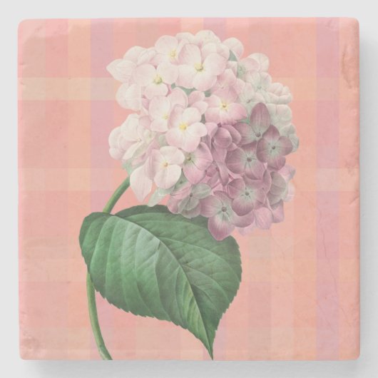Rosa Hortensien-Blumen Kunst Untersetzer (Vorderseite)