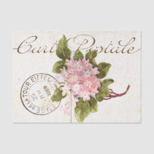 Rosa Hortensien Carte Postale Blumen Vintage Franz Seidenpapier