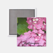 Rosa Hortensien Magnet (Vorderseite/Rückseite)