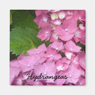 Rosa Hortensien Magnet