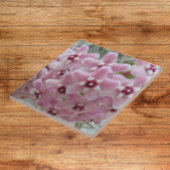 Rosa Hoya Pflanze Blume Fliese