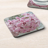 Rosa Hoya Pflanze Blume Getränkeuntersetzer (Linke Seite)