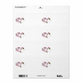 Rosa Hummingvogel und Blume, die Etiketten verschi (Vorne)