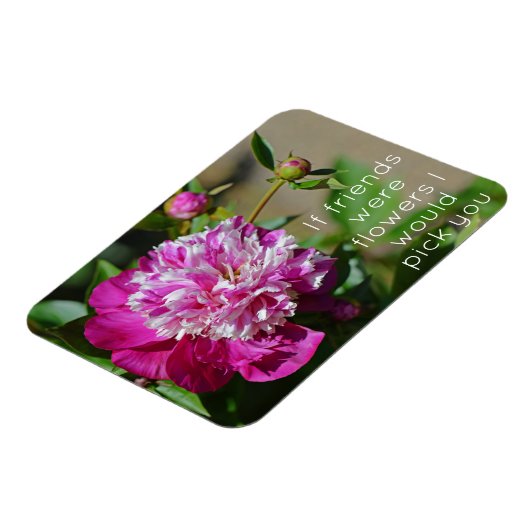 Rosa Hütte Peony Blume Friend Magnet (Linke Seite)
