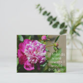 Rosa Hütte Peony Blume Puff Postkarte (Stehend Vorderseite)