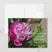 Rosa Hütte Peony Blume Puff Postkarte (Vorne/Hinten)