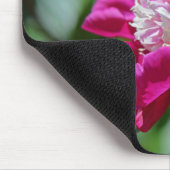 Rosa Hütte Peony Botanischer Garten Blume Mousepad (Ecke)
