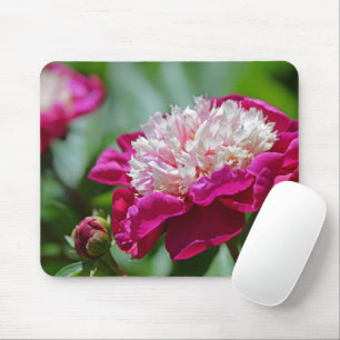 Rosa Hütte Peony Botanischer Garten Blume Mousepad