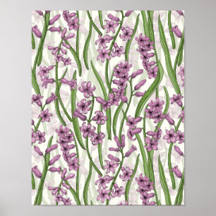Rosa Hyacinth-Blume auf natürlichem Weiß Poster